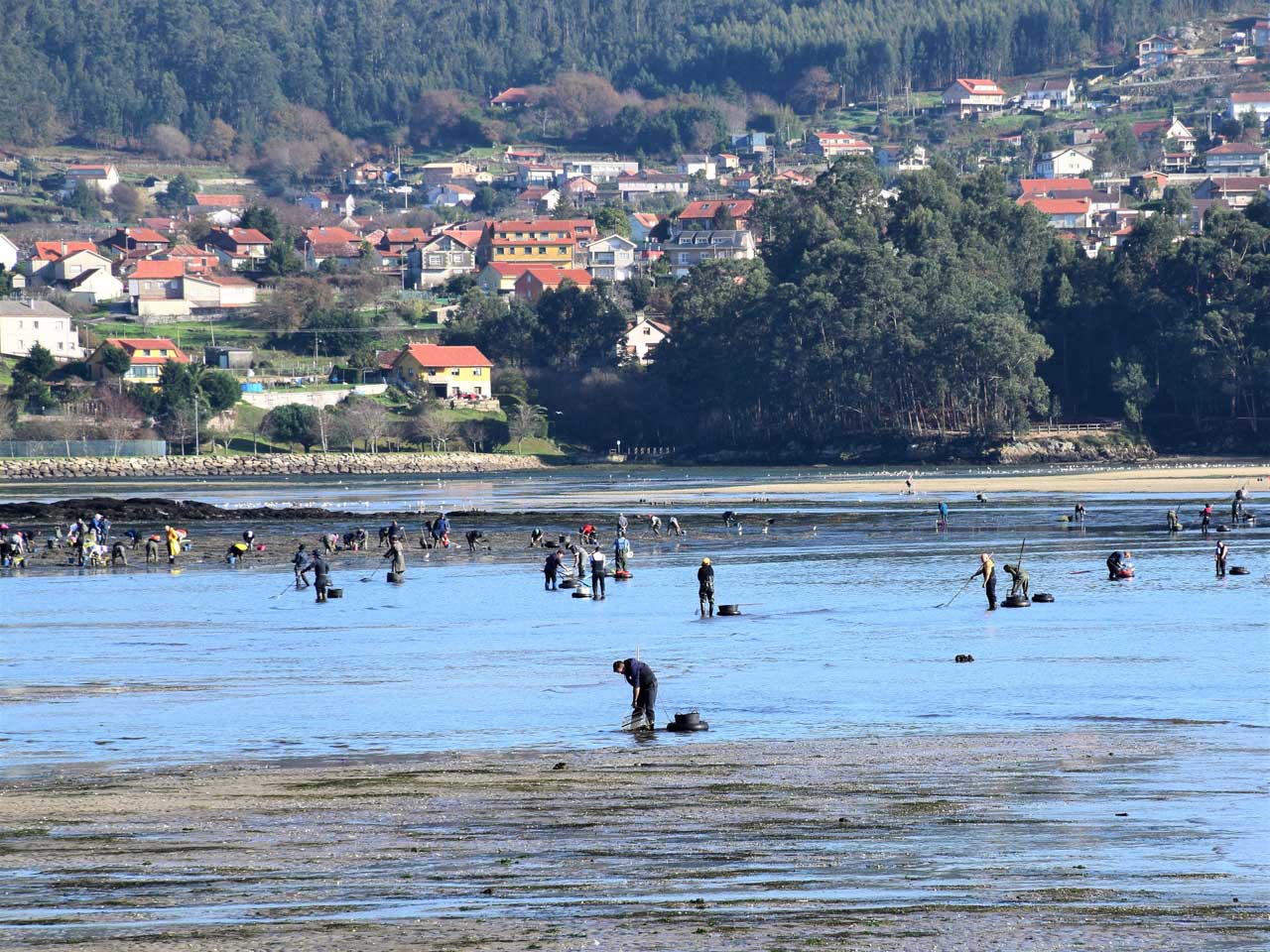 Infrastructure. Art de la pêche à pied