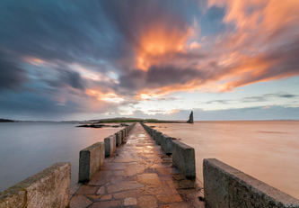 RUTA MARÍTIMA DEL VINO ALBARIÑO Y JARDINES DE CAMELIAS