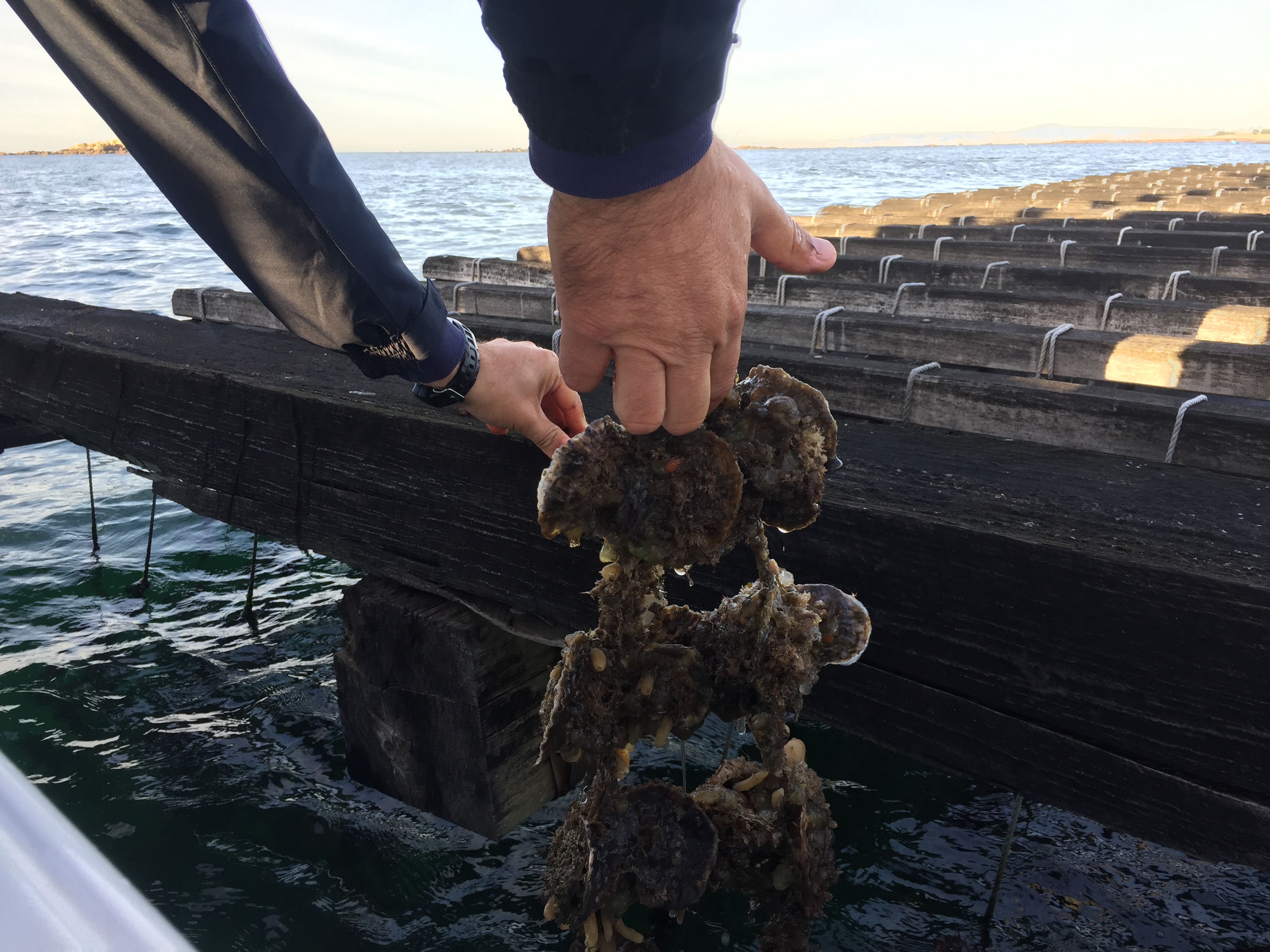 RUTA DE LAS ARTES DE PESCA EN EMBARCACIÓN TRADICIONAL