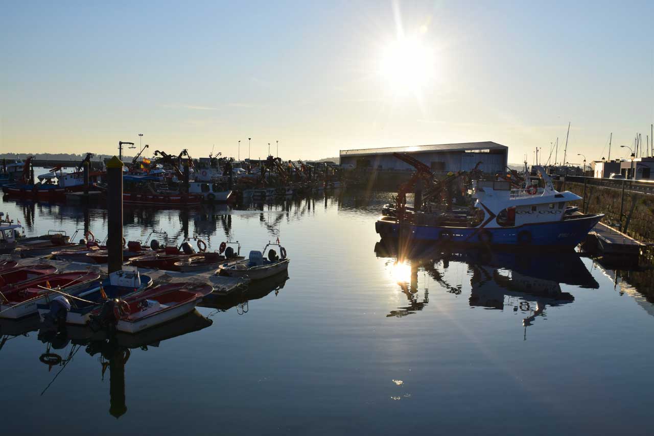 EL MEJILLÓN EN LA RÍA DE AROSA. LAS BATEAS