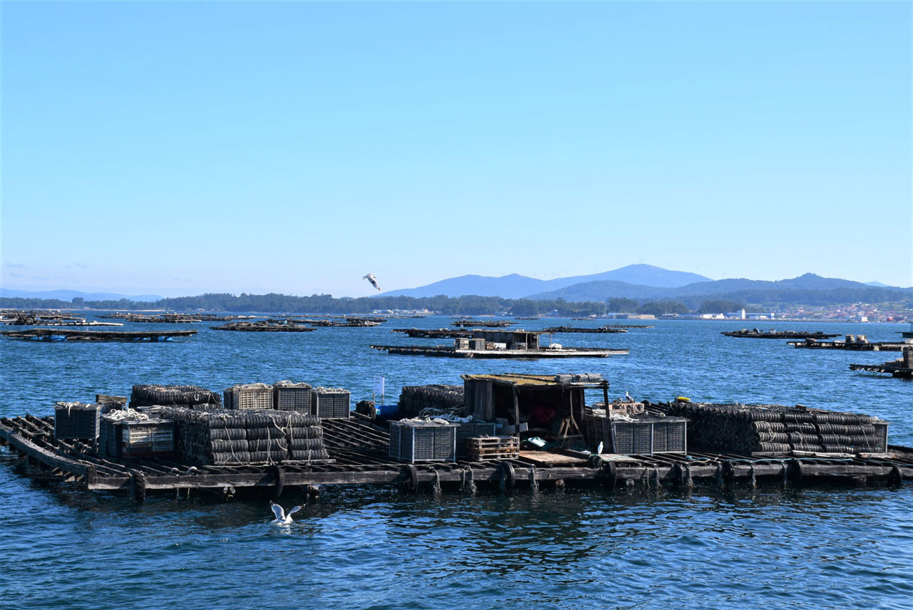 O Grove. Submarino. Porto Meloxo. Bateas de mejillón