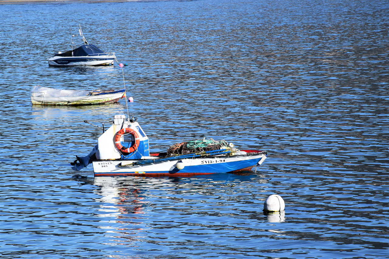 Producto. Sardina. Barco bajura sardina
