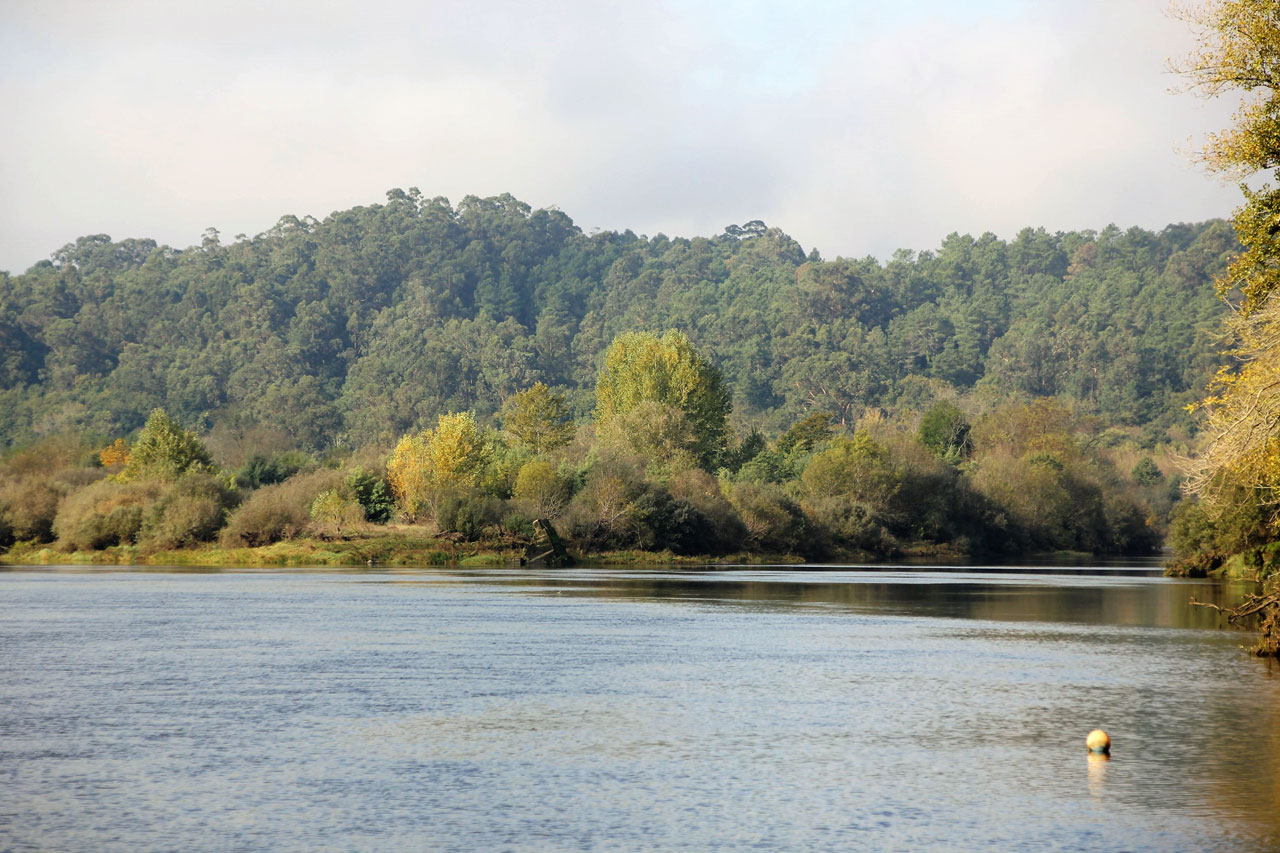 Isla de Fillaboa. Flora, fauna