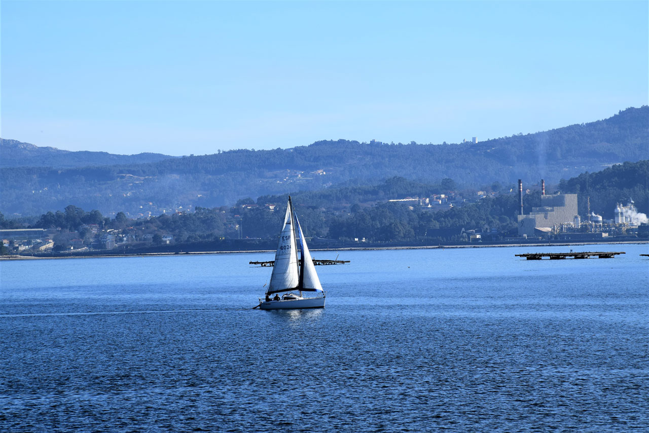 Pontevedra y la sociedad fenicia