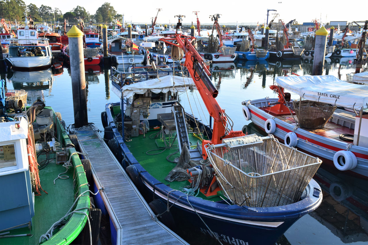 Barco mejillón. General