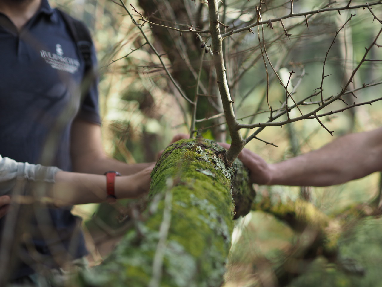 VISITA A LA ISLA DE CORTEGADA