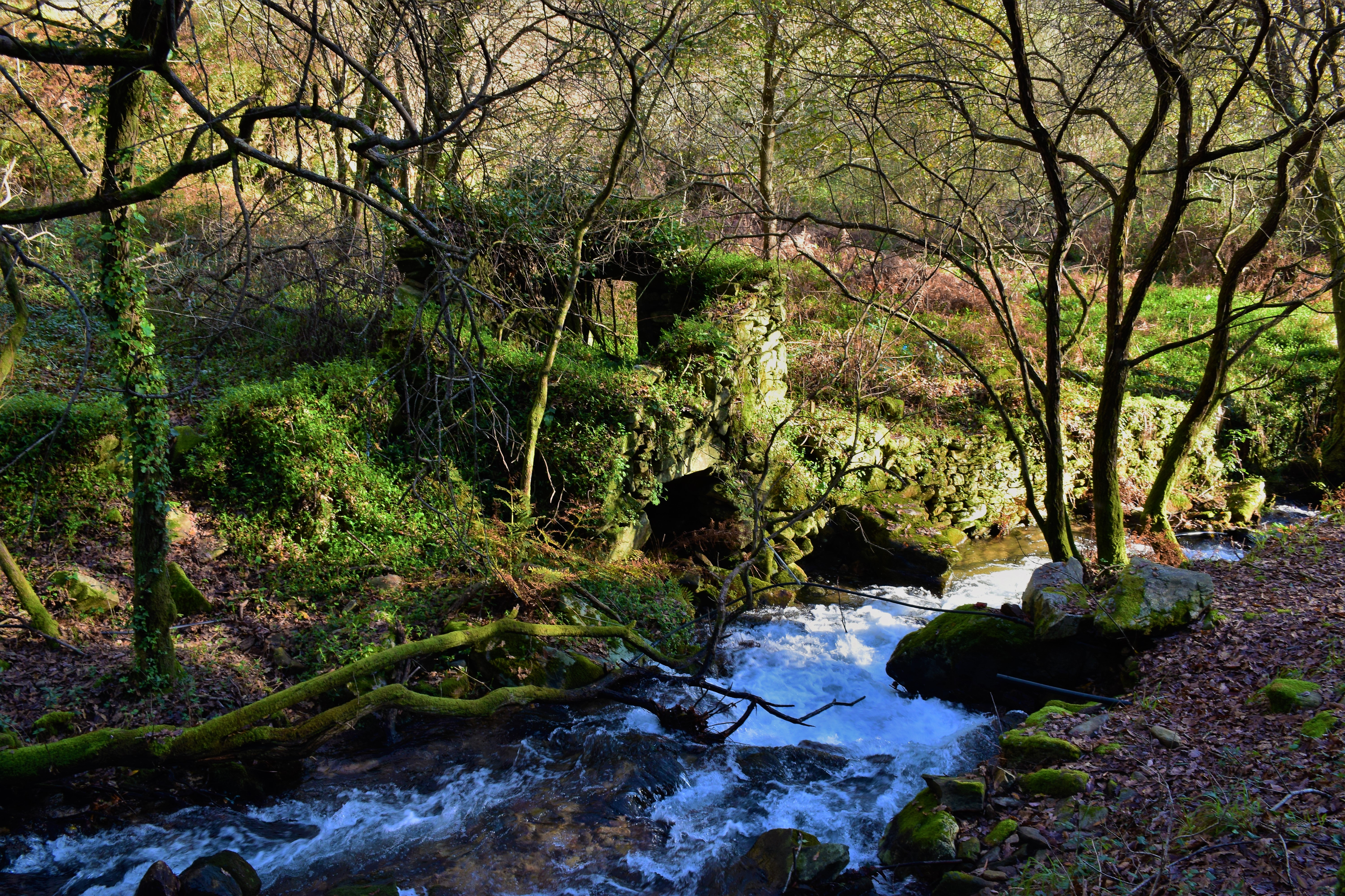 Moaña et Domaio. La route des moulins. Moaña Petroglyphs