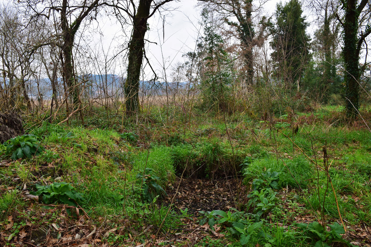Puerto Romano y barcos. Mercado dos Mouros