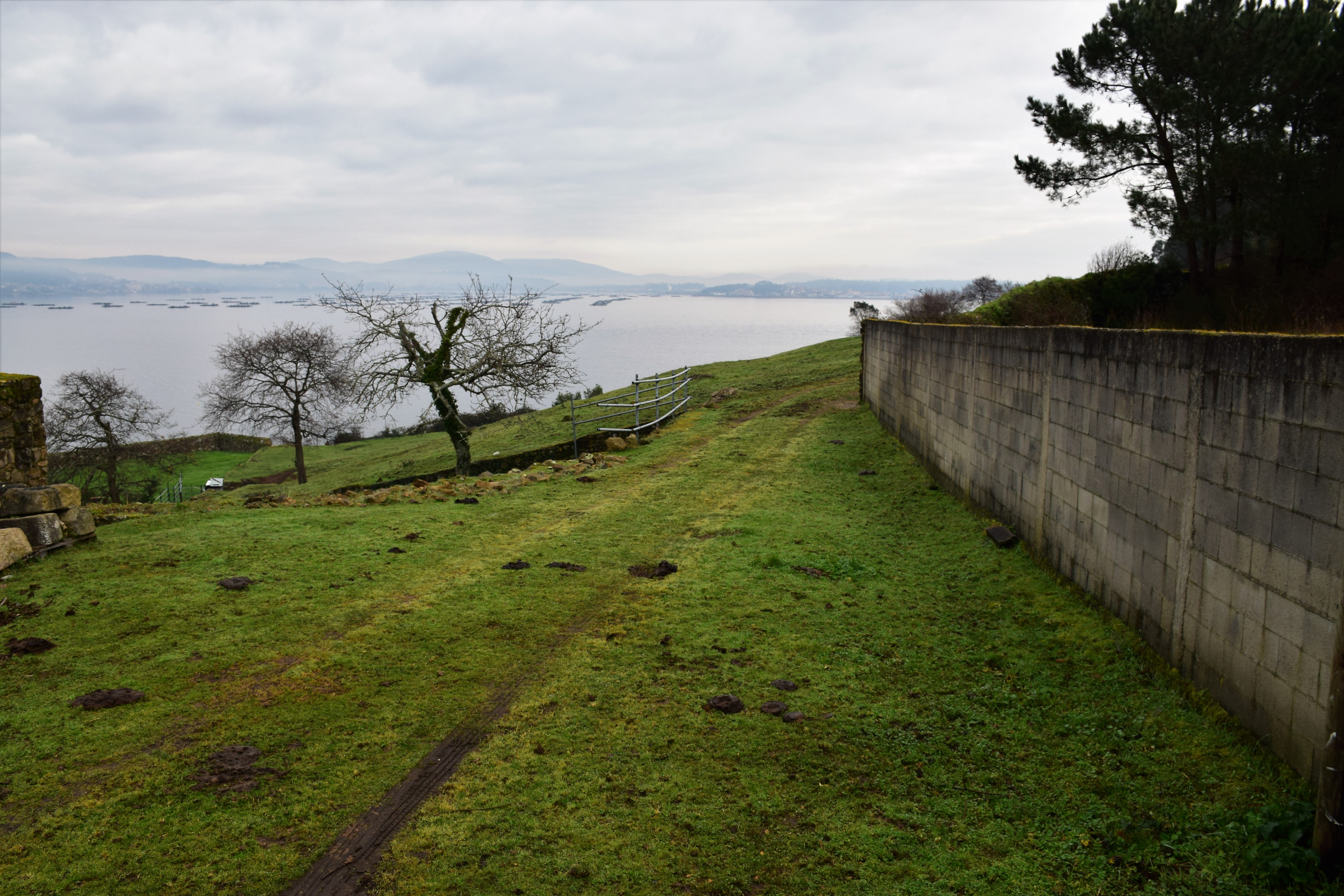 Castro Punta Ostreira