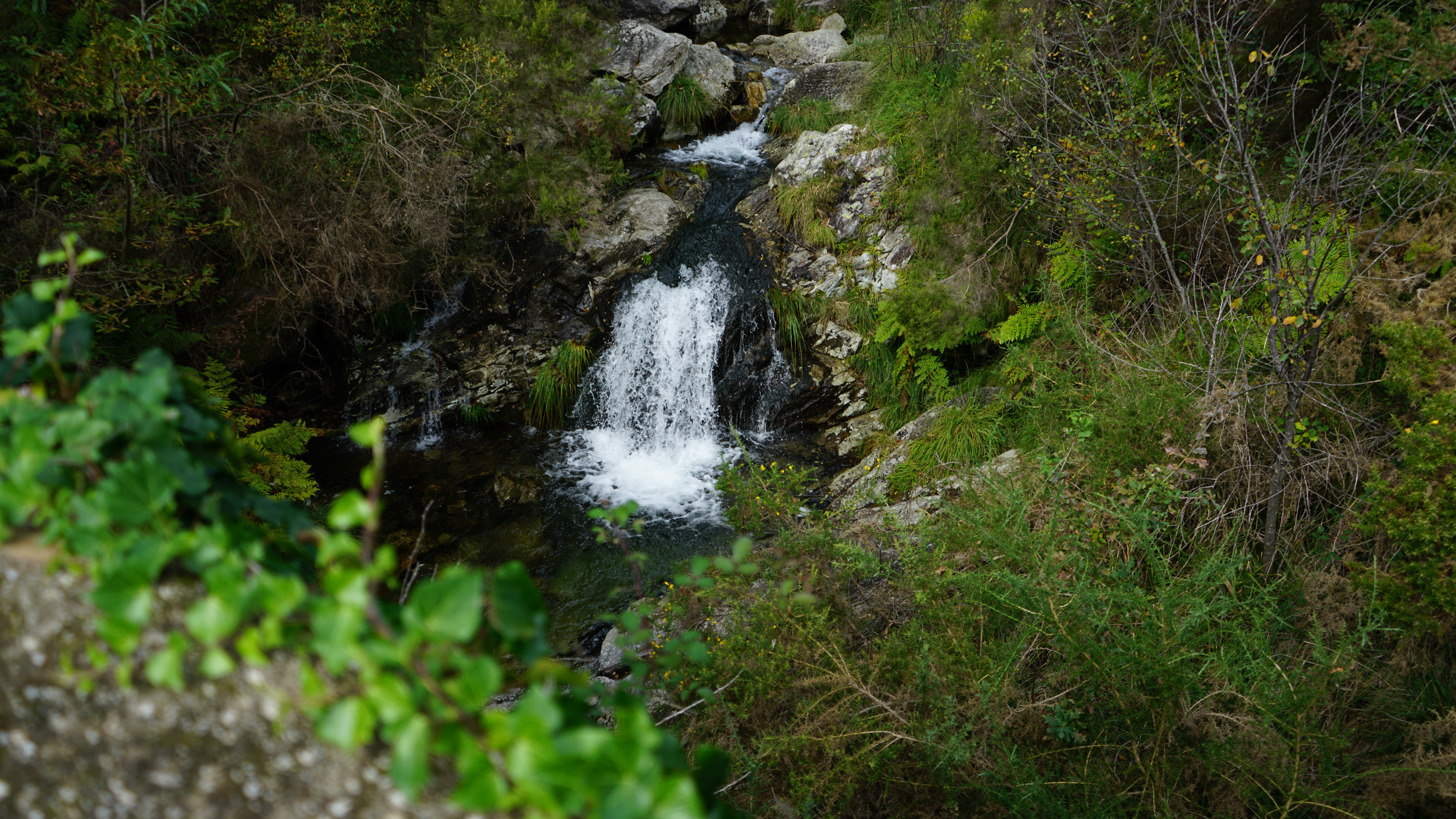 Fervenza de Cadarnoxo