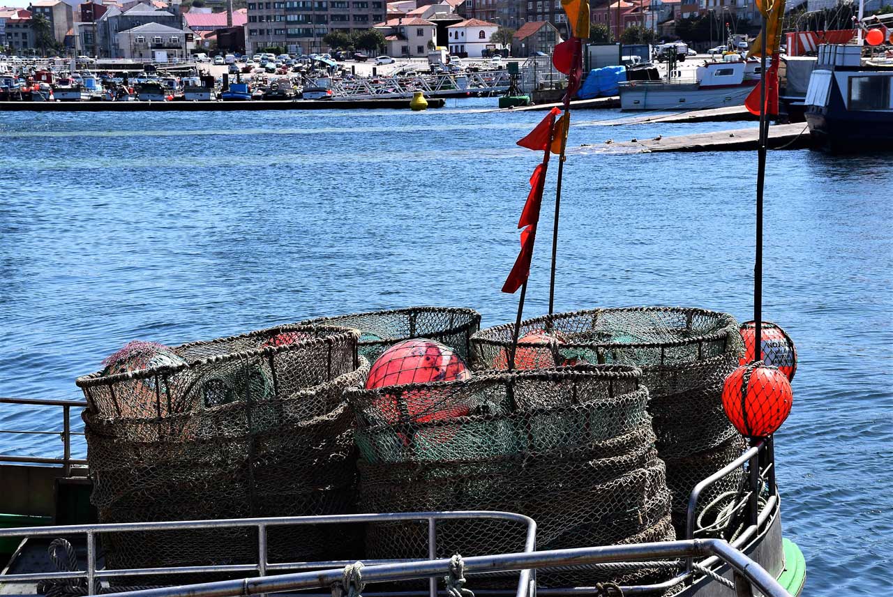 QUARTIER MARIN. Activité de pêche de nos jours