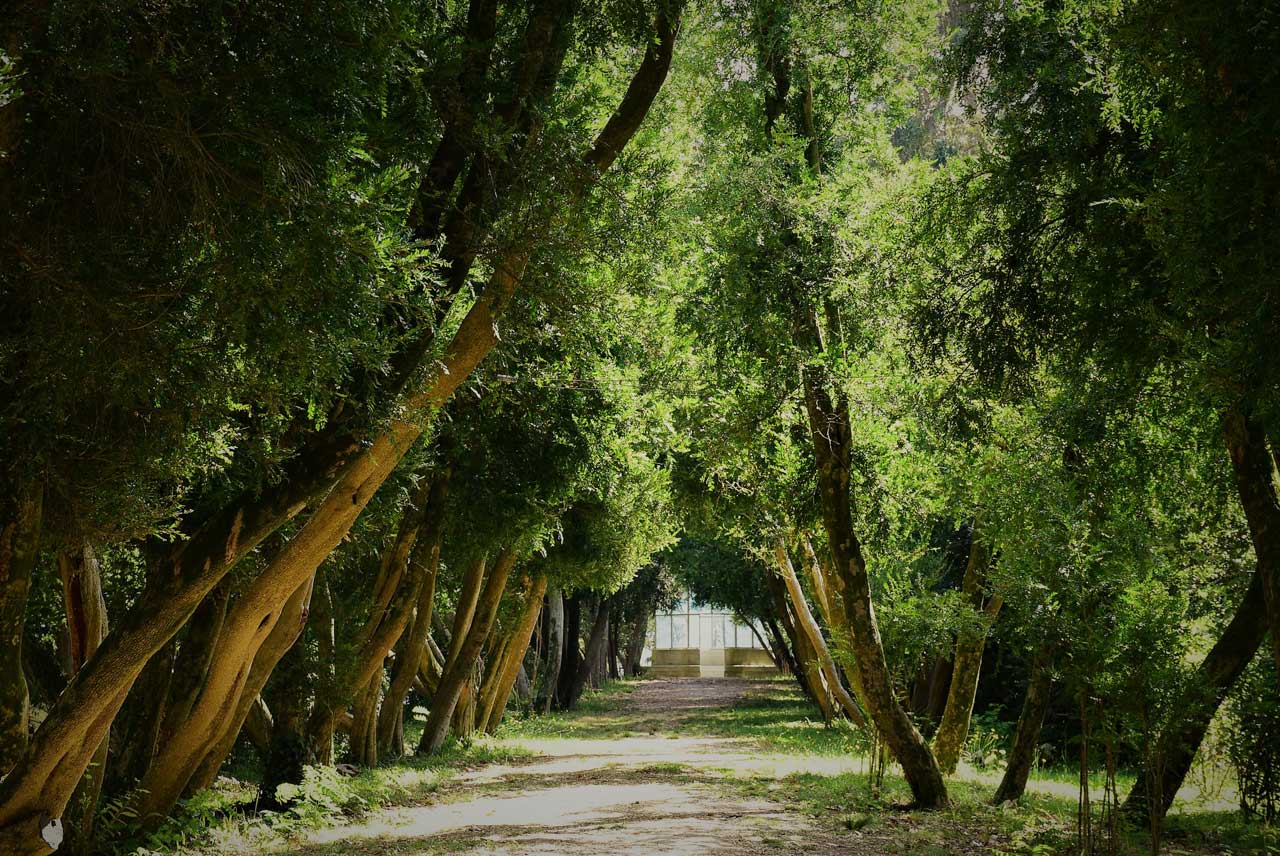 Patrimoine naturel. Île de San Simón